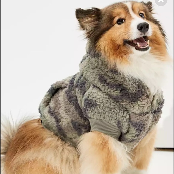 american eagle dog